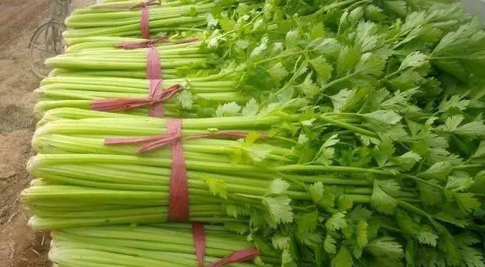 紧急曝光！桂林58批次食品抽检不合格！涉及米粉、鸡蛋、蔬菜…