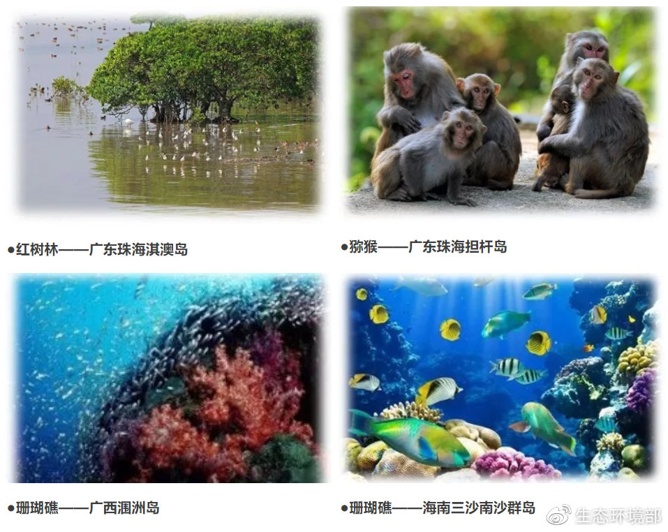 海洋环保科普（6）｜我国海岛上的那些生物资源，你知道它们么？
