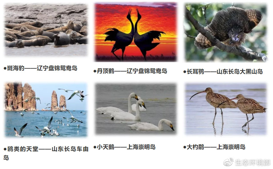 海洋环保科普（6）｜我国海岛上的那些生物资源，你知道它们么？