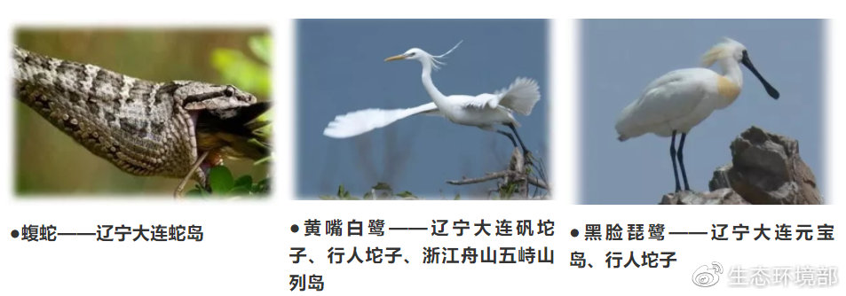 海洋环保科普（6）｜我国海岛上的那些生物资源，你知道它们么？