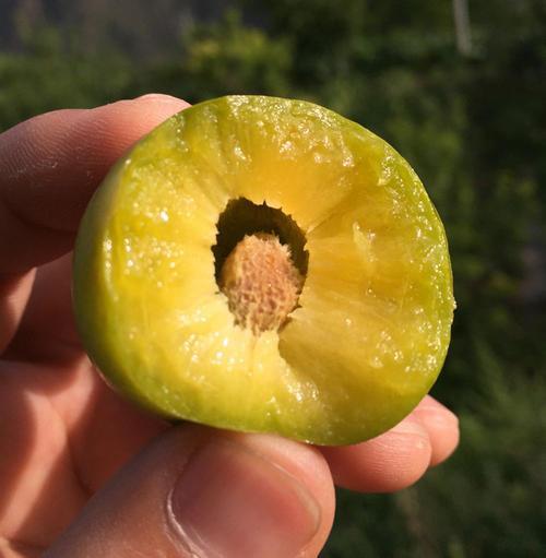 这几种中国地道特产，营养又美味，看着都让人流口水，吃过忘不了