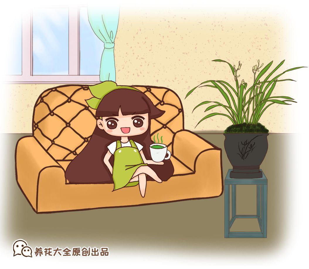 兰花最全养护要点，一年四季绿油油，开花还能香满屋！