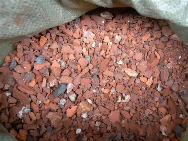 兰花最全养护要点，一年四季绿油油，开花还能香满屋！