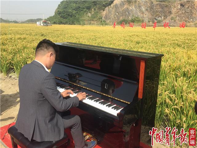 浙江德清农民造钢琴奏响乡村振兴进行曲