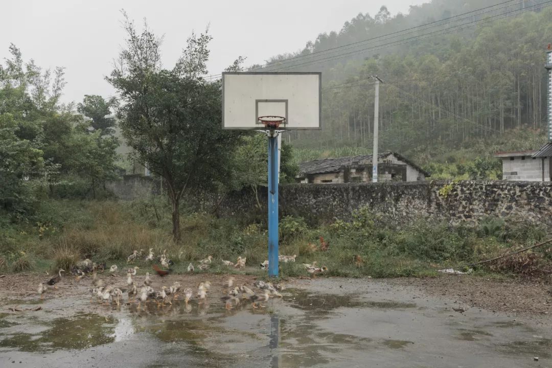 聚焦乡村体育设施现状 | 2019丽水·黄远新个展