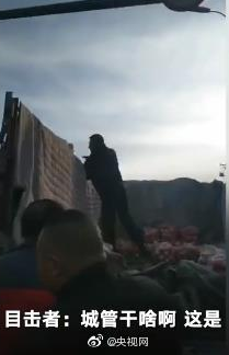 哈尔滨一城管怒摔商贩3袋苹果  官方称已处理相关人员