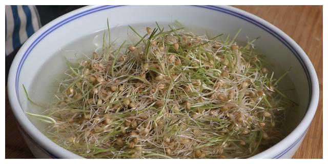 原来麦芽糖是这样做的，原料只有小麦和糯米，超简单想失败都难
