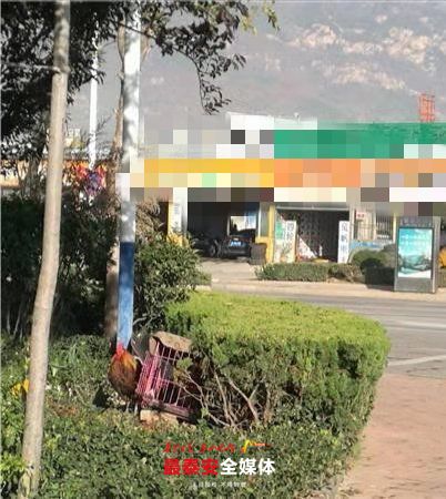 有人竟在绿化带内隐匿养鸡！太影响环境了！责令处理家禽，罚款20元！