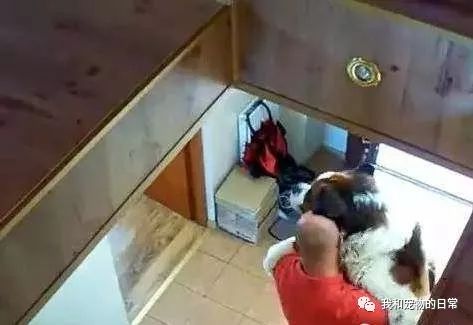上下楼梯，其实是汪生的一道坎！哈哈…