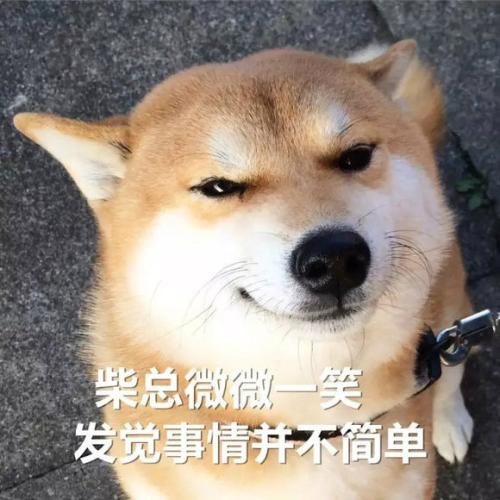 2019年首届国际灯笼节将于11月15日南宁会展中心举办？官方澄清：假的！