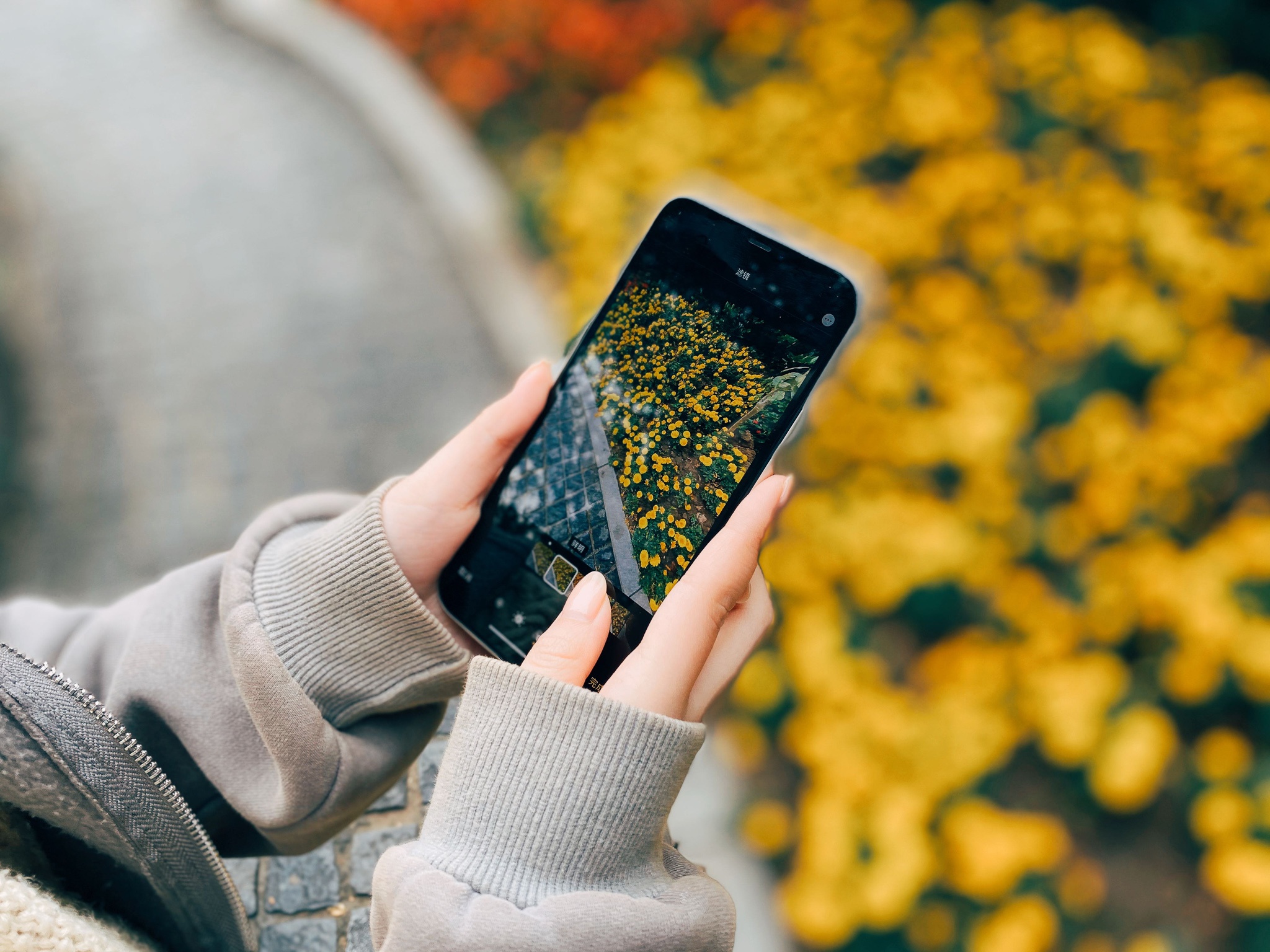 iPhone 11拍照测评：忘记手中的器材 专注于拍摄