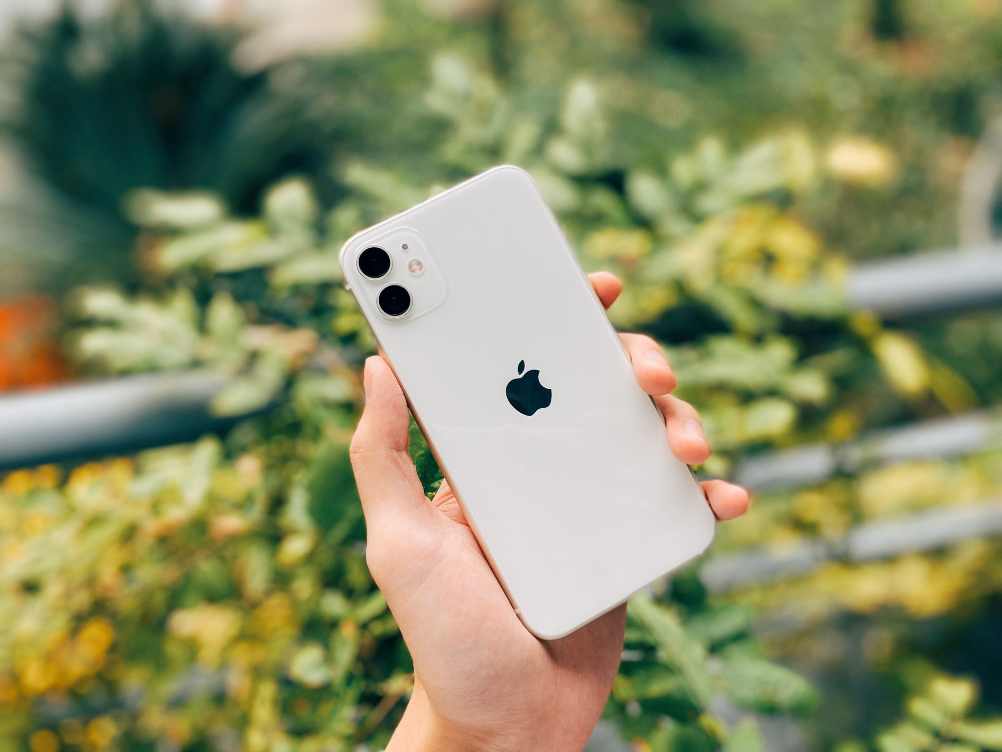 iPhone 11拍照测评：忘记手中的器材 专注于拍摄
