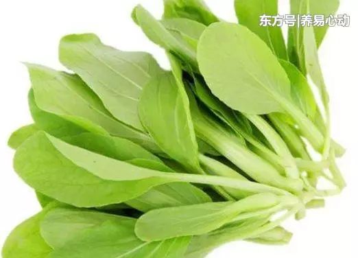 女性担心自己老太快,要坚持吃的食物,美容养颜、养护血管