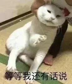全新配方，全新工艺！巴洛克洛斯艺术涂料上市前大练兵！
