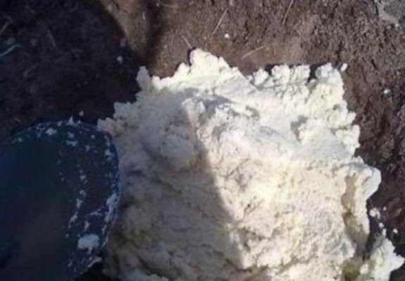 “大豆渣”别丢掉，与“它”混一混，倒盆里，养啥花都爆盆