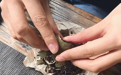 如果你还在喝奶茶，你就out了！这款茶比龙井、铁观音都要火