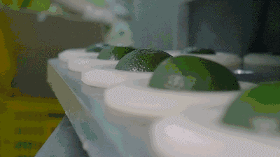 如果你还在喝奶茶，你就out了！这款茶比龙井、铁观音都要火