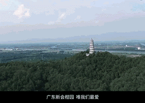 如果你还在喝奶茶，你就out了！这款茶比龙井、铁观音都要火