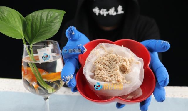 如何把硬水变软水玩观赏鱼不会这个技能,有点说不过去哦!