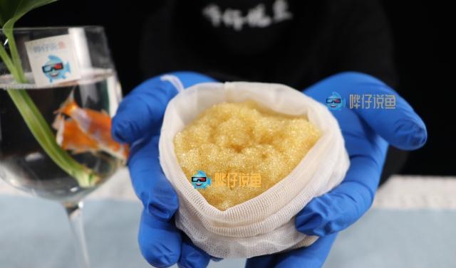 如何把硬水变软水玩观赏鱼不会这个技能,有点说不过去哦!