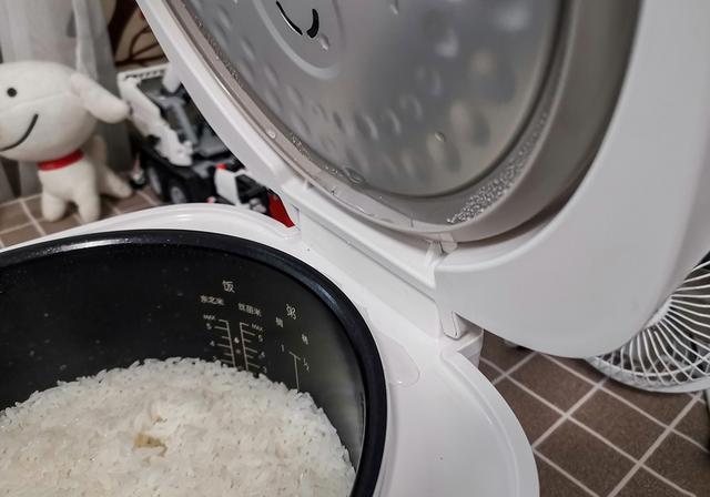 米家电饭煲上新，煮饭、煲汤、做蛋糕样样行，129元能否打动你？