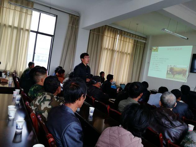猴桥镇：畜牧养殖跑出脱贫攻坚“加速度”