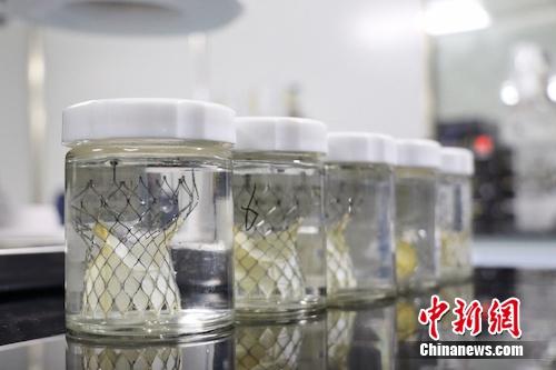“浙造器械”按下创新加速键：从“跟跑者”到“领跑者”