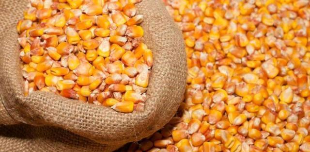 钓鱼窝料自制方法,自制窝料对比渔具店窝料还要好用?