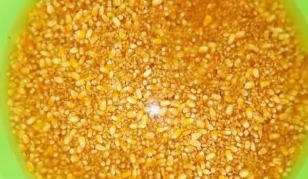 钓鱼窝料自制方法,自制窝料对比渔具店窝料还要好用?