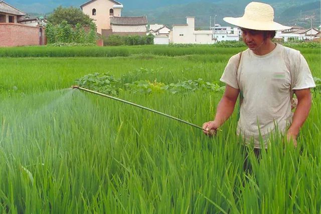刚打了农药，一下雨农民就白忙活，其实有不怕雨的农药，了解下