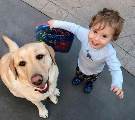 小主人拿着一包饼干打算开吃时,一旁的拉布拉多看到后这样做!