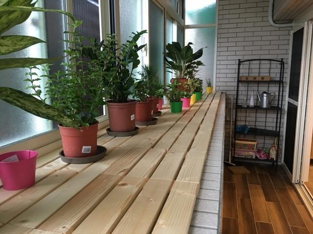 入住新家第一天，晒晒，宜家风装修很有生活气息，电视柜最实用