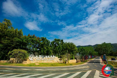 当天上午,农业农村部副部长张桃林陪同代表团一行抵达大茅远洋生态村,此次行程由远洋集团海南公司总经理侯敏接待并进行深度地沟通与交流。代表团一行兴致盎然地参观了大茅远洋生态村的现代农业生态园,看到硕果累累的樱桃番茄和沙拉生菜,对于农业科技创新和农业现代化技术的应用成果表示浓厚兴趣和高度认同。