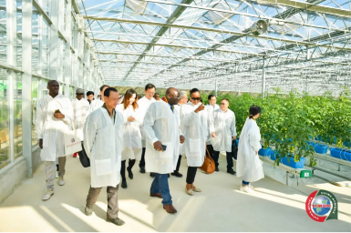 在火龙果共享种植园,代表团观看到全球最领先的智能植保无人机正在进行喷洒叶面肥作业。当了解到游客参与众筹种植火龙果的创新模式后,外宾们纷纷为大茅点赞。通过这种模式,大茅村相继成立了龙眼种植合作社、百香果种植合作社等。