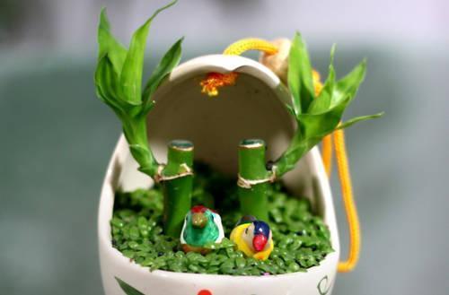 卖花人推荐“六种”好养的绿植，能招运吸财，特别适合家里养护