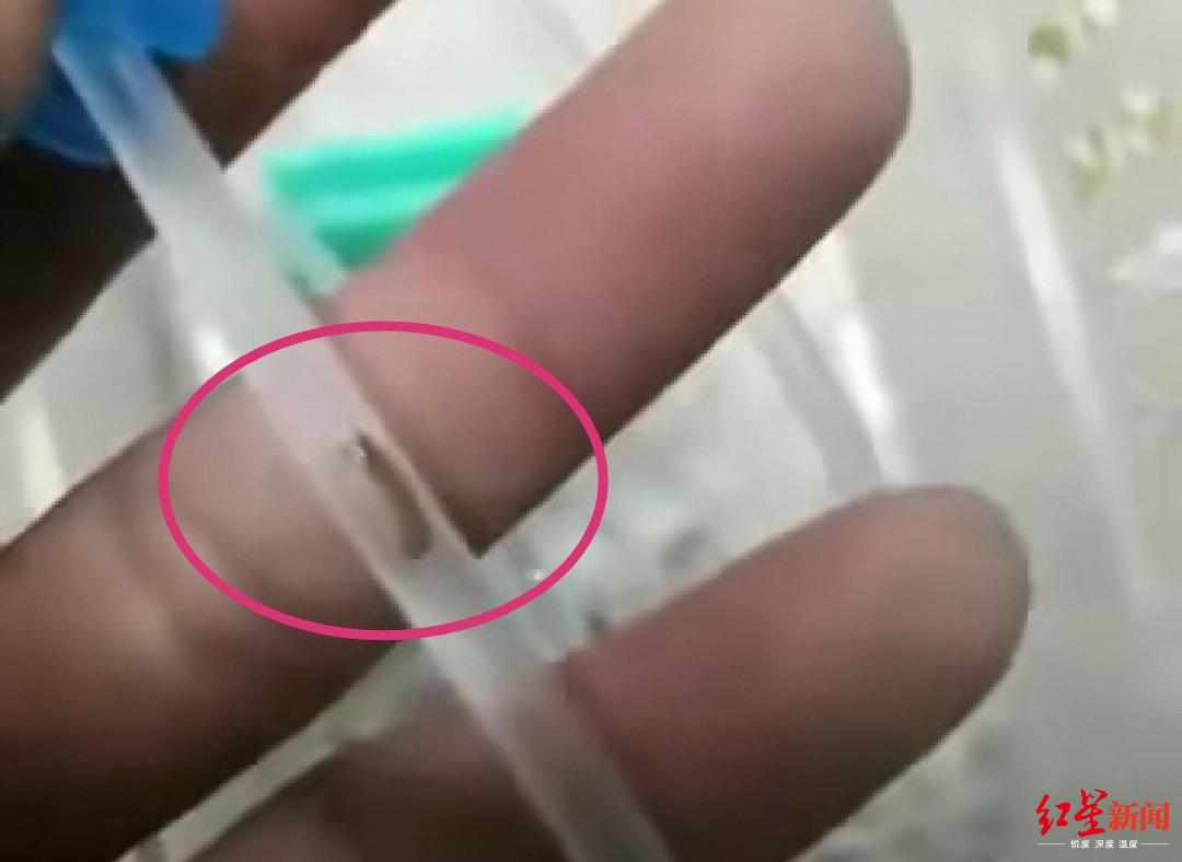 乐山3岁幼儿输液管疑发现虫，涉事厂家曾3次违法生产医疗器械被罚