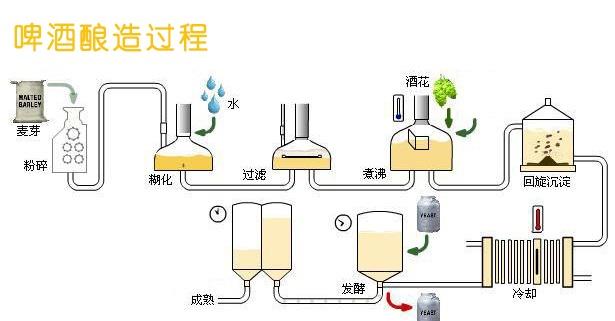 啤酒、白酒和葡萄酒之间有什么区别？你真的知道吗？