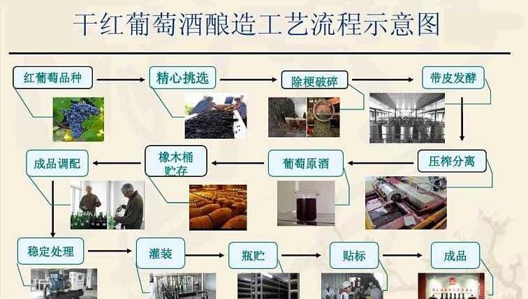 啤酒、白酒和葡萄酒之间有什么区别？你真的知道吗？