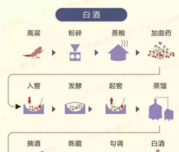 啤酒、白酒和葡萄酒之间有什么区别？你真的知道吗？