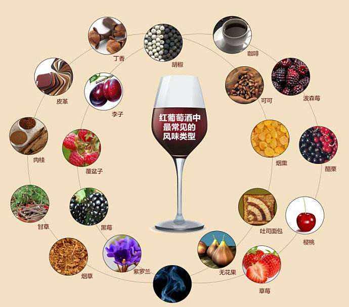 啤酒、白酒和葡萄酒之间有什么区别？你真的知道吗？