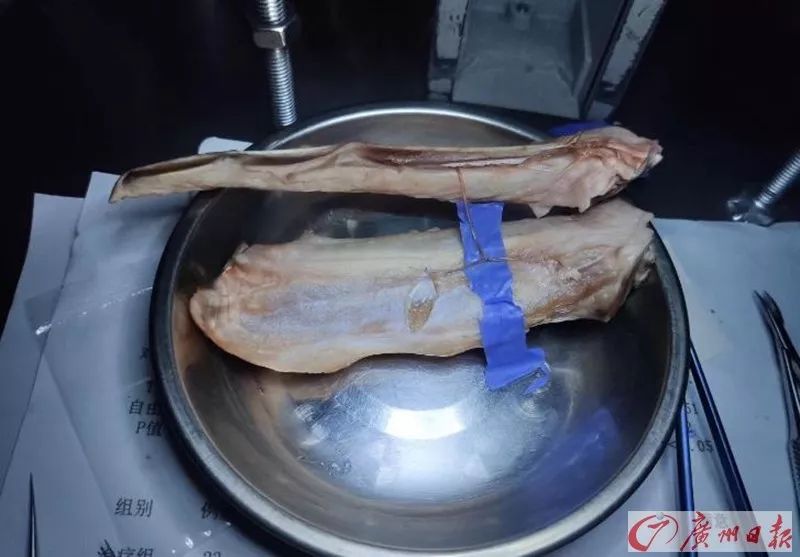 他每天来买鸡鸭翅，引得网友疯狂点赞