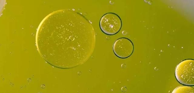 油吃的太少反伤血管！花生油、大豆油、玉米油……到底怎么吃
