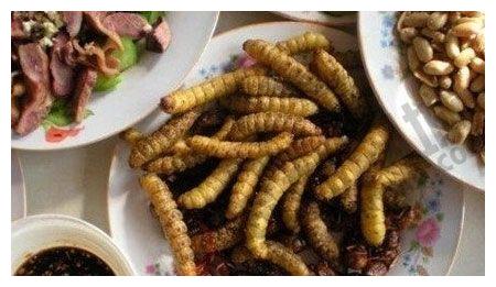 大豆园子”行走的高蛋白“，滋味比得上海鲜，餐馆里一盘得几百元