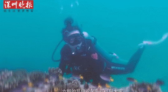 海洋垃圾变形记！你的Prada包包可能是用废弃渔具做成的……