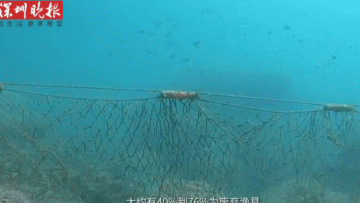 海洋垃圾变形记！你的Prada包包可能是用废弃渔具做成的……
