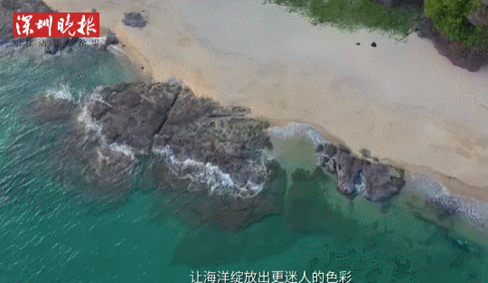 海洋垃圾变形记！你的Prada包包可能是用废弃渔具做成的……