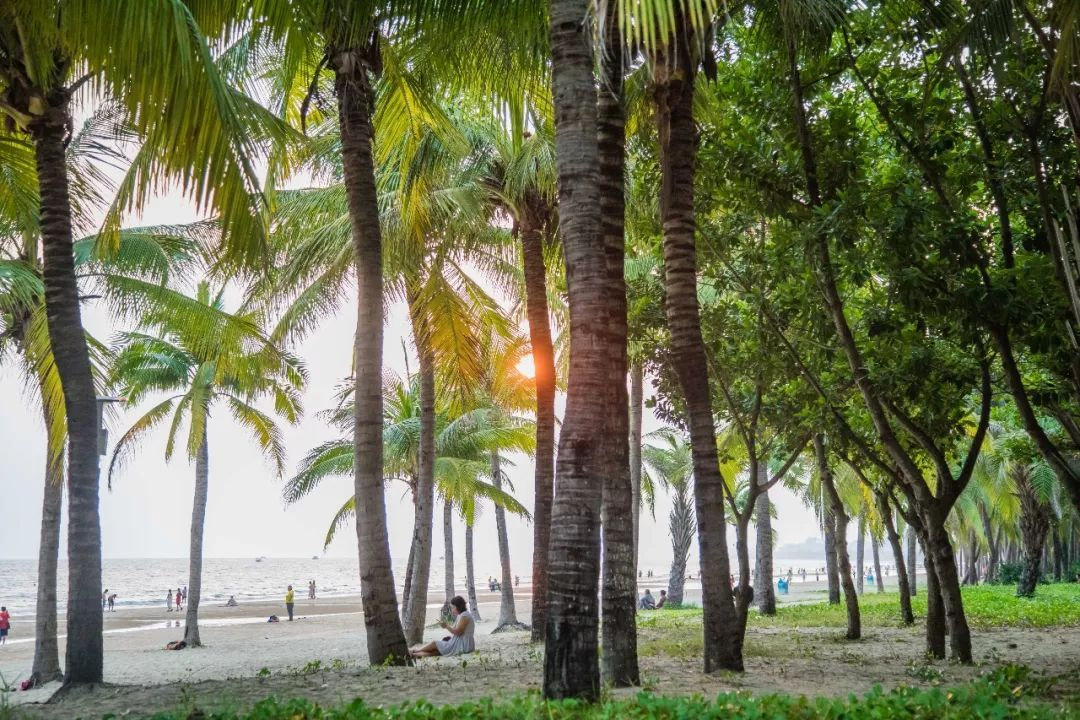 三亚体育旅游嘉年华闭幕式丨徒步穿越有美景，助力环保志在心中！
