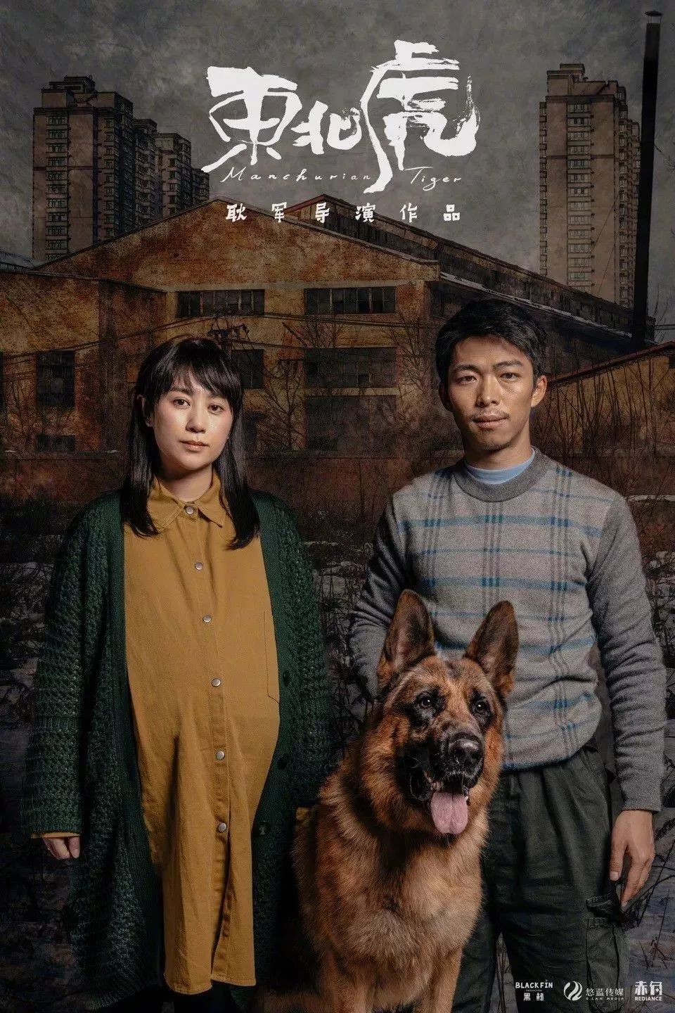 耿军：我眼里的东北人是可爱的蘑菇