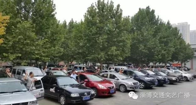 这是一个关于“种子”的故事