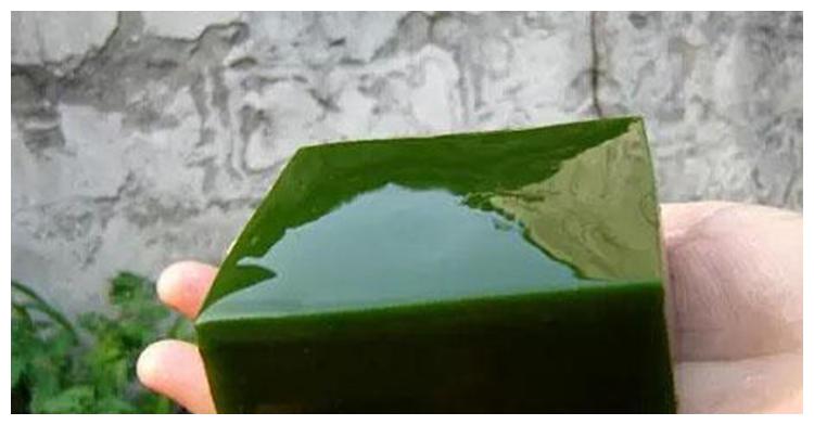 树叶也能做豆腐! 大豆可以靠边站